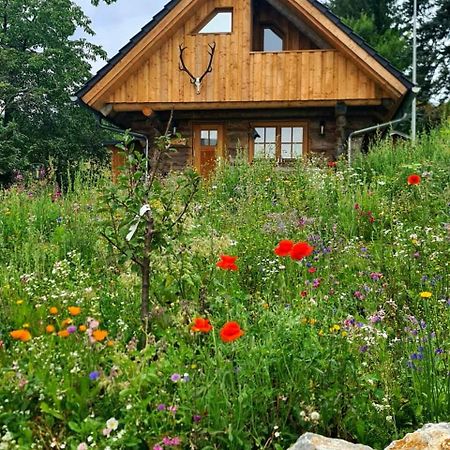 Blockhaus Panhuette Villa Braunlage Bagian luar foto