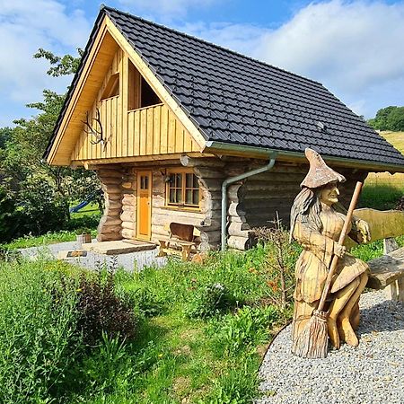 Blockhaus Panhuette Villa Braunlage Bagian luar foto
