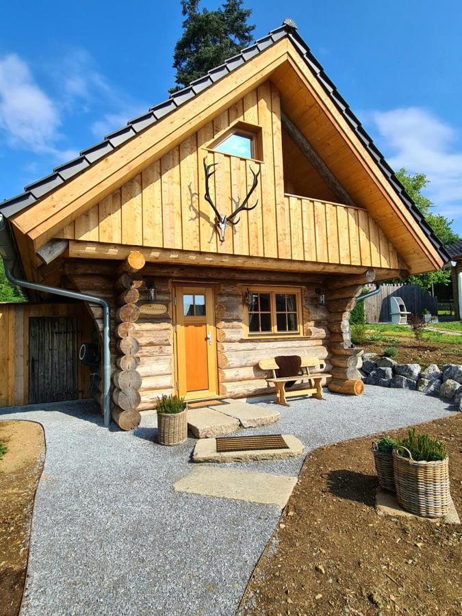 Blockhaus Panhuette Villa Braunlage Bagian luar foto