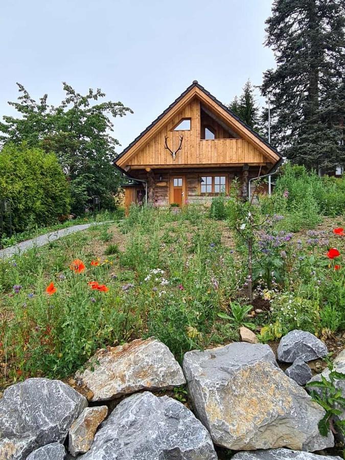 Blockhaus Panhuette Villa Braunlage Bagian luar foto