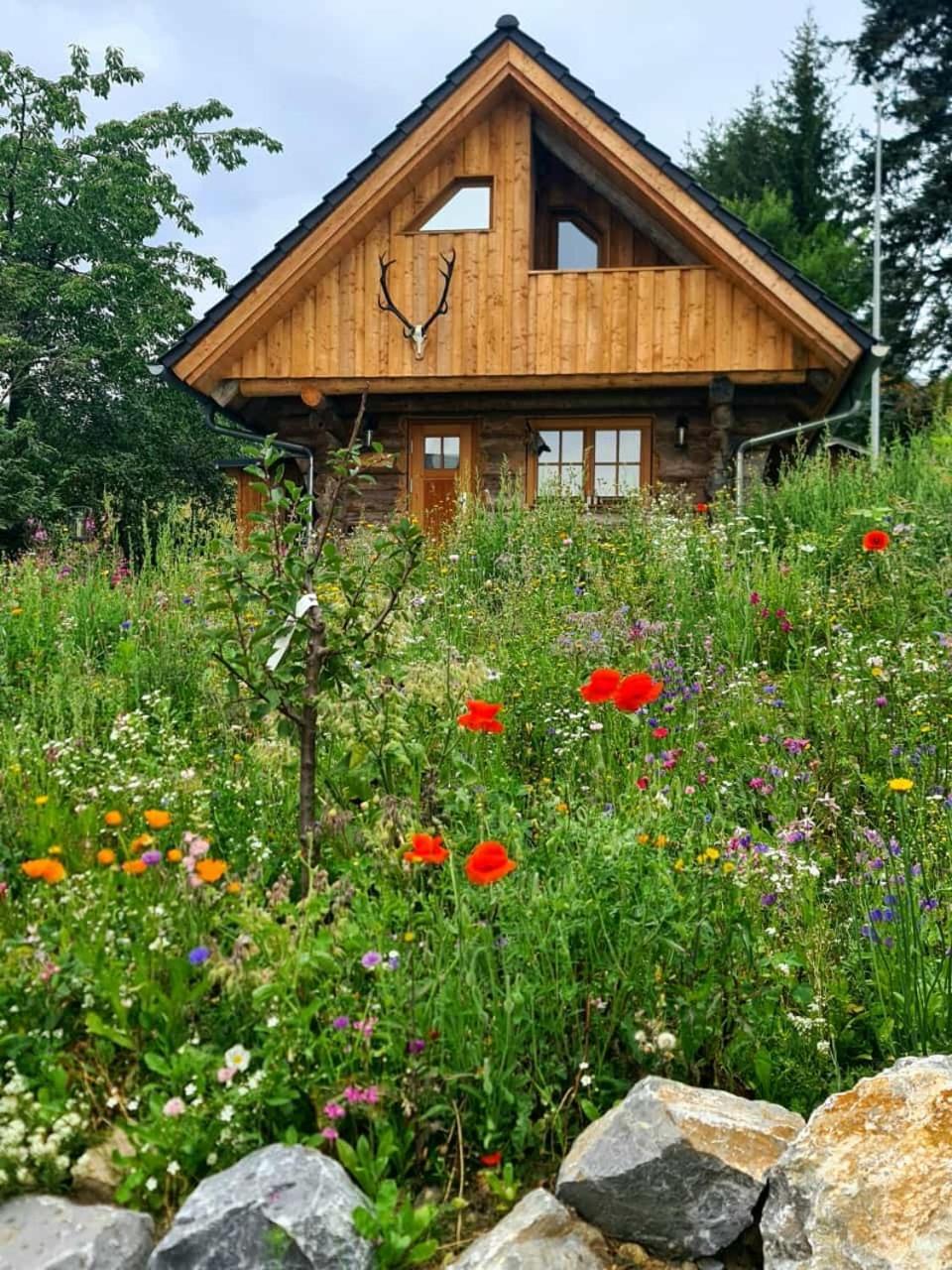 Blockhaus Panhuette Villa Braunlage Bagian luar foto